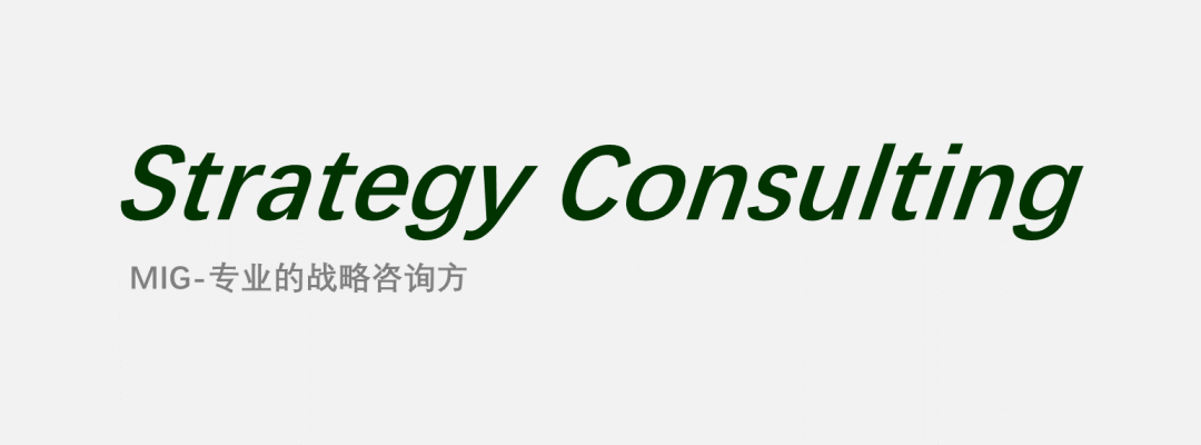 梅特國(guó)際集團(tuán)(簡(jiǎn)稱MIG)