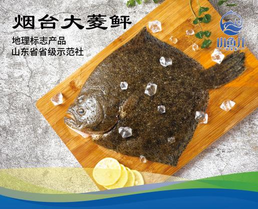 寶團(tuán)兒、匯鮮江湖