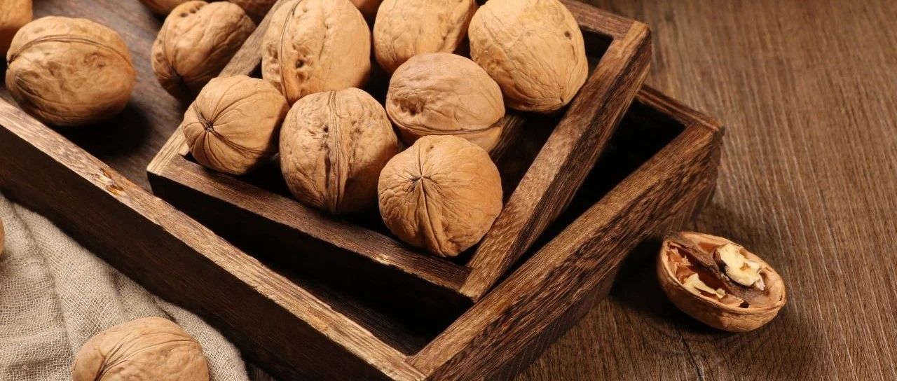 SIAL中餐廳今日正式開賽！感受傳統(tǒng)魅力，品味中餐經(jīng)典！