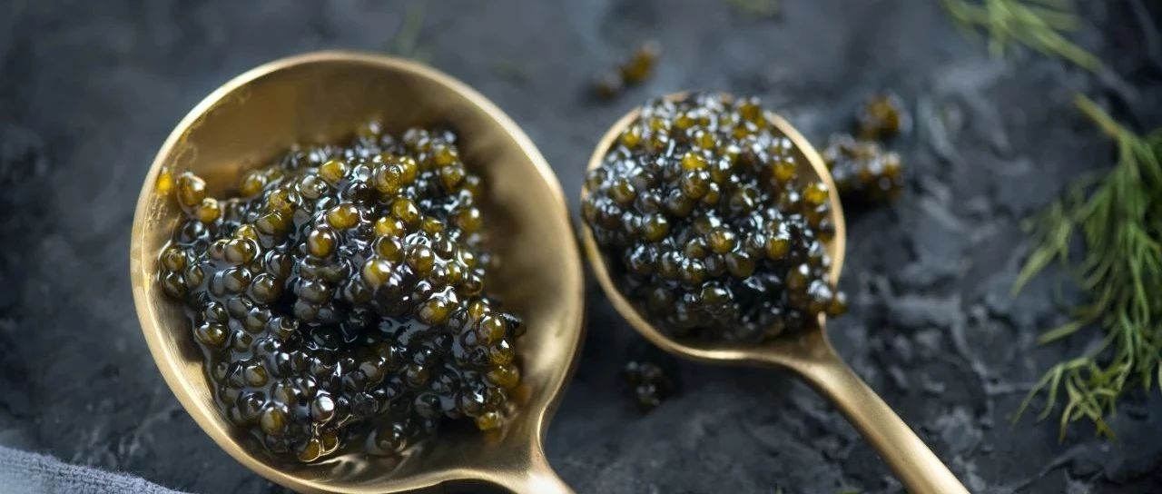 從生鮮、健康飲品到方便食品、調(diào)味品，一站式選購不容錯過｜上新品了！西雅