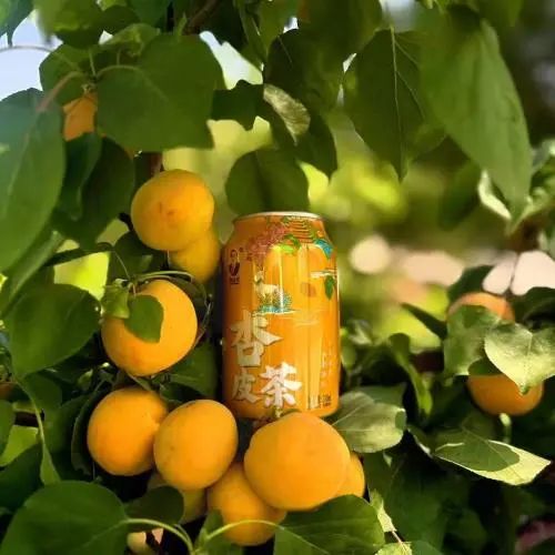 SIAL西雅國(guó)際食品展