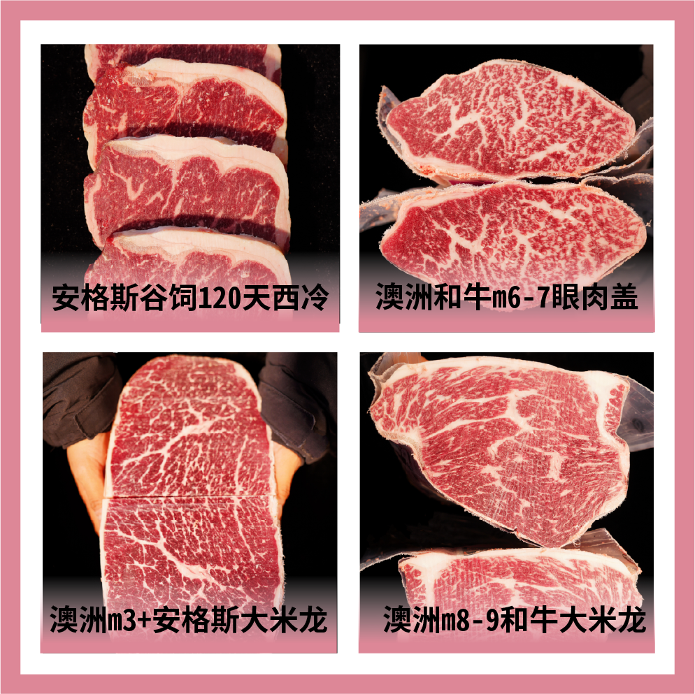 上海至極國際集團(tuán)